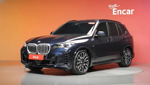 BMW X5 (G05) xDrive 30d M 2025 21