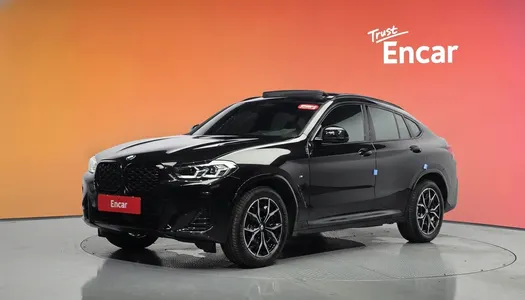 BMW X4 (G02) xDrive20i M 2023 20
