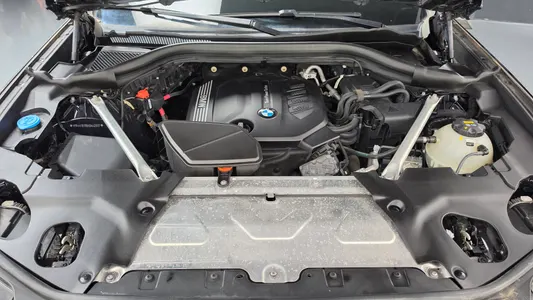 BMW X4 (G02) xDrive20d M 2019 6