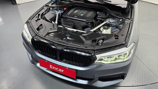 BMW 5 Series (G30) 520d M 2018 6