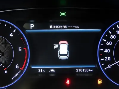 Hyundai Palisade 2.2 4WD 2019 18