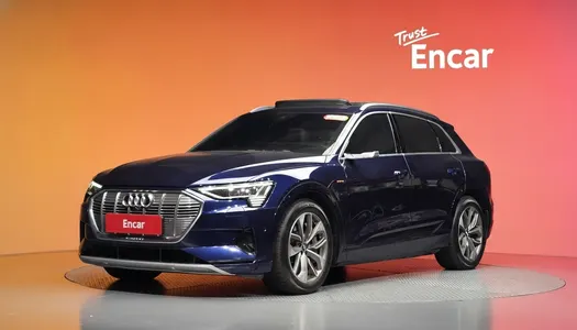 Audi e- 55 2020 20