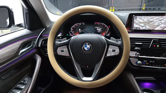 BMW 5 Series (G30) 530i 2020 12