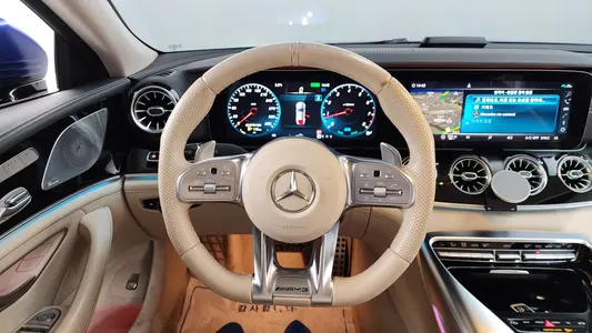 Mercedes-Benz AMG GT 4 43 4MATIC+ 2020 13