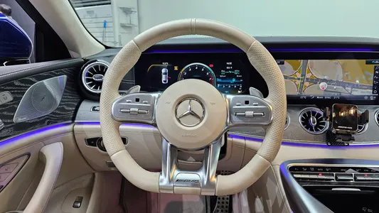 Mercedes-Benz AMG GT 4 43 4MATIC+ 2020 13