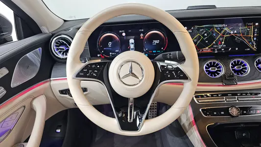 Mercedes-Benz CLS-Class C257 CLS300d 4MATIC 2022 13