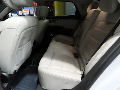 Renault Korea SM6 2.0 GDe RE 2016 10