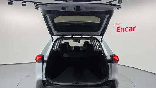 Toyota RAV4 5 2.5 4WD LTD 2025 20