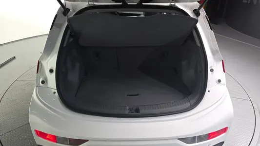 Chevrolet EV EV 2018 20