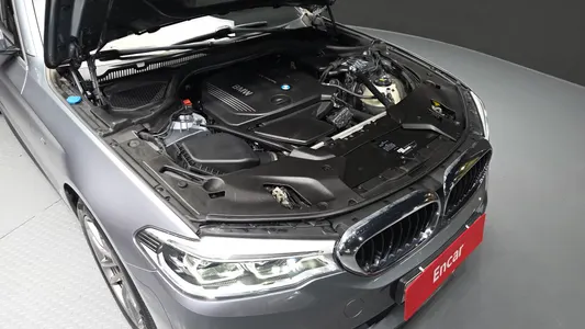 BMW 5 Series (G30) 520d xDrive M 2017 6