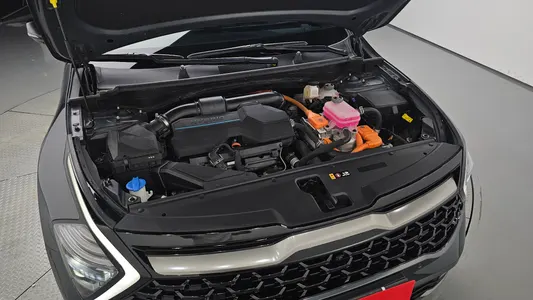 Kia 5 4WD 2023 6