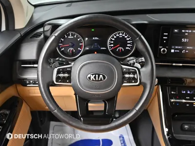 Kia Carnival 9 2021 13