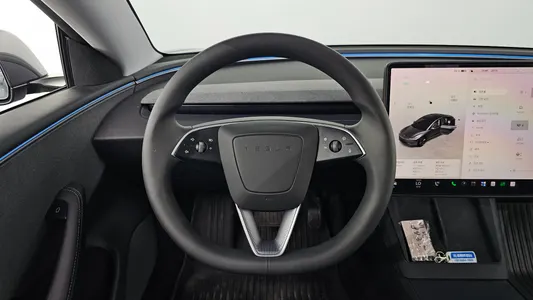 Tesla 3 RWD 2025 13