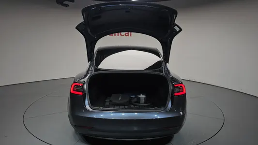 Tesla 3 AWD 2019 20