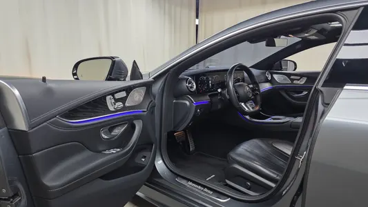 Mercedes-Benz CLS-Class C257 CLS300d 4MATIC 2022 9