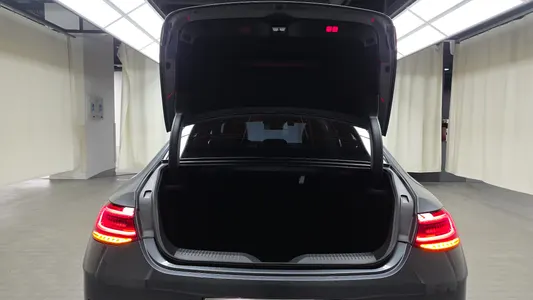 Mercedes-Benz CLS-Class C257 CLS300d 4MATIC 2022 15