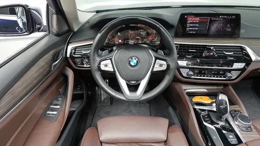 BMW 5 Series (G30) 520d 2020 13