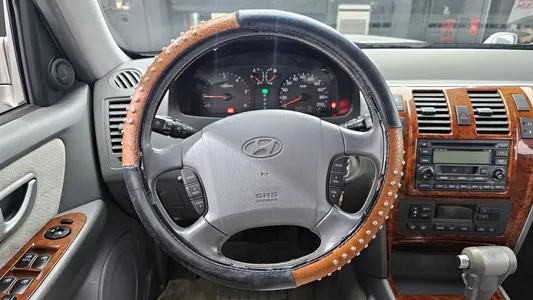 Hyundai 테라칸 4WD JX290 2004 13