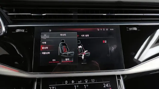 Audi Q8 (4M) 50 TDI 2020 17