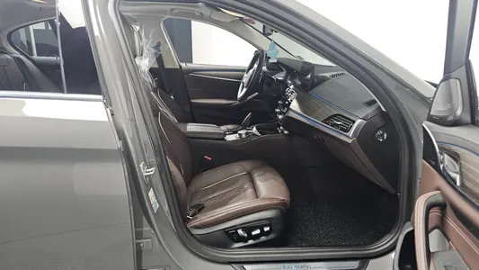 BMW 5 Series (G30) 530e 2020 11