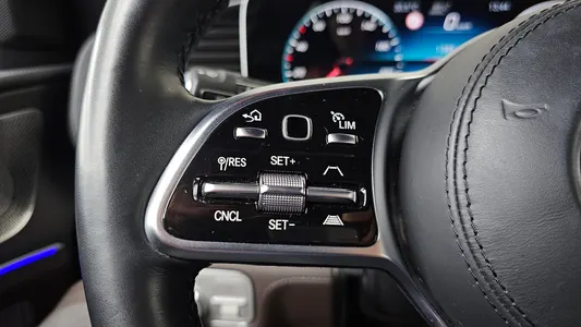 Mercedes-Benz GLS-Class X167 GLS400d 4MATIC 2022 32