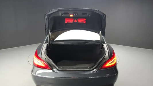 Mercedes-Benz CLS-Class W218 CLS250 d 4MATIC 2015 19