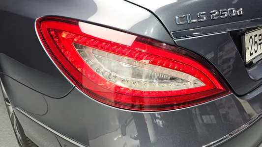 Mercedes-Benz CLS-Class W218 CLS250 d 4MATIC 2015 23
