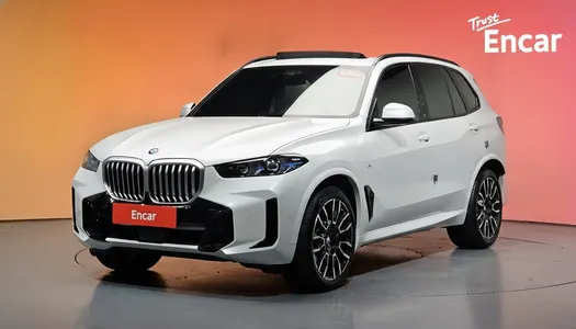 BMW X5 (G05) xDrive 30d M 2025 20