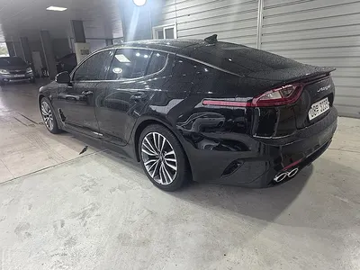 Kia Stinger 2.0 2WD 2017 5