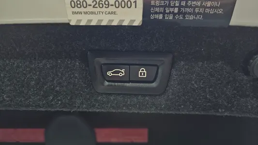 BMW 5 Series (G30) 520d M 2019 32