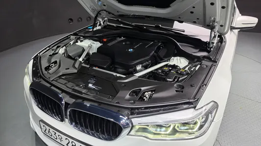 BMW 5 Series (G30) 530i M 2019 6