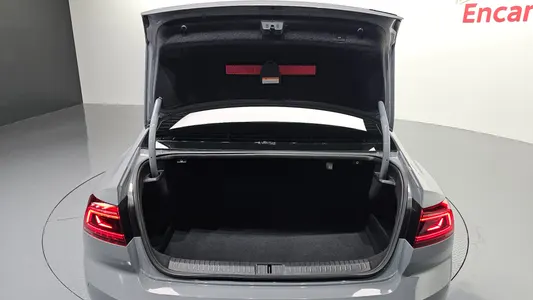 Volkswagen GT(B8) 2.0 TDI 4 2022 33