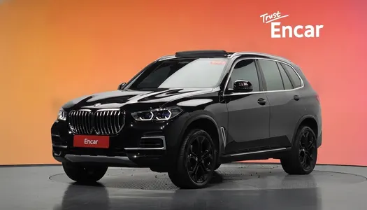 BMW X5 (G05) xDrive 30d xLine 2023 20