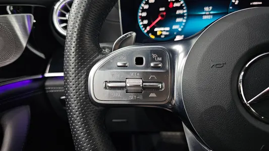 Mercedes-Benz AMG GT 4 43 4MATIC+ 2020 18