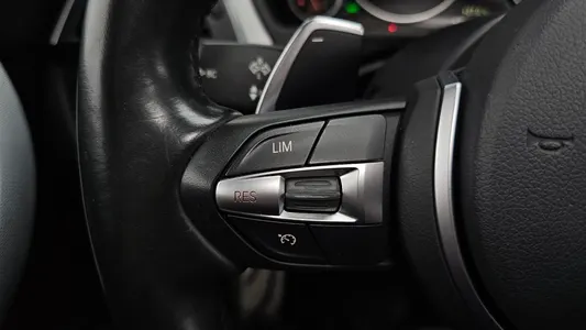BMW 3 Series (F30) 320d M 2017 29