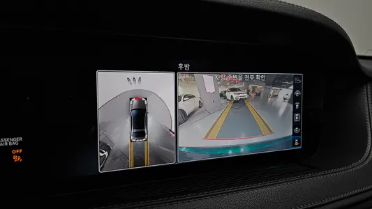 Mercedes-Benz S-Class W222 S350L 2020 14