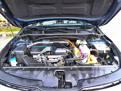 Kia 5 2WD 2023 6