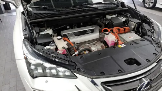 Lexus NX300h 2016 6