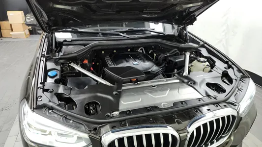 BMW X4 (G02) xDrive20d xLine 2020 6