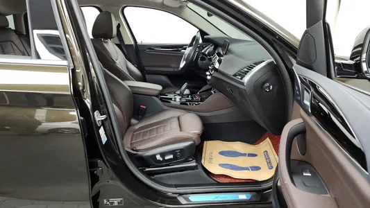 BMW X4 (G02) xDrive20d xLine 2020 11