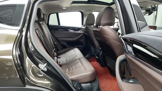 BMW X4 (G02) xDrive20d xLine 2020 12