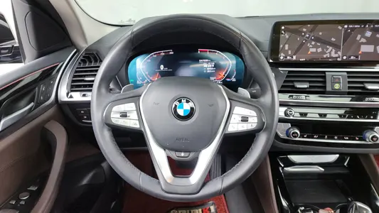 BMW X4 (G02) xDrive20d xLine 2020 13