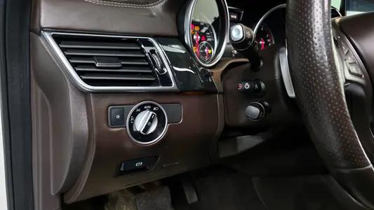 Mercedes-Benz GLS-Class X166 GLS500 4MATIC 2017 16