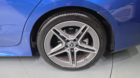 Mercedes-Benz CLS-Class C257 CLS300d 4MATIC 2022 21