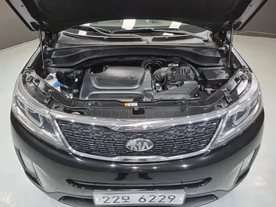 Kia R 2.0 2WD 2013 19