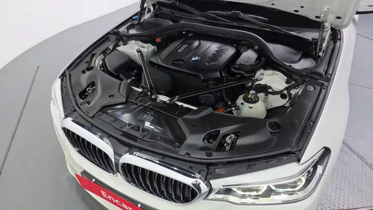 BMW 5 Series (G30) 520d M 2017 6