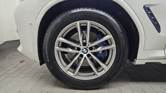 BMW X4 (G02) xDrive20d M 2019 5
