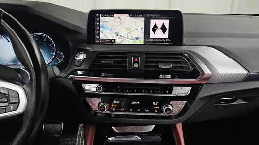 BMW X4 (G02) xDrive20d M 2019 12