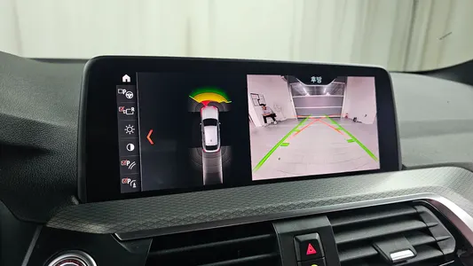 BMW X4 (G02) xDrive20d M 2019 14