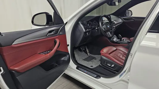 BMW X4 (G02) xDrive20d M 2019 10